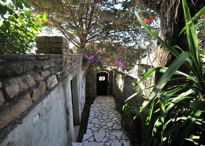 Theodora View Zeys